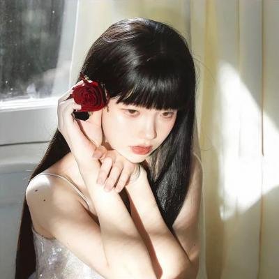 萌犬好声音3
