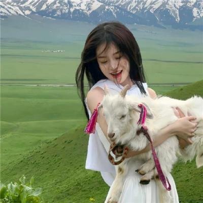 熊熊乐园第二部